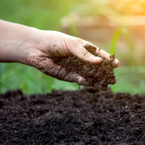 Fertilizers Bentonite