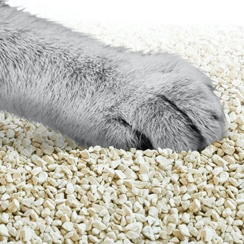 Cat litter Bentoninte